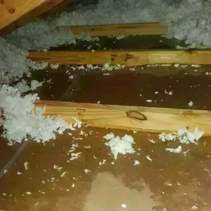 Attic Water Damage in Fort Defiance, AZ